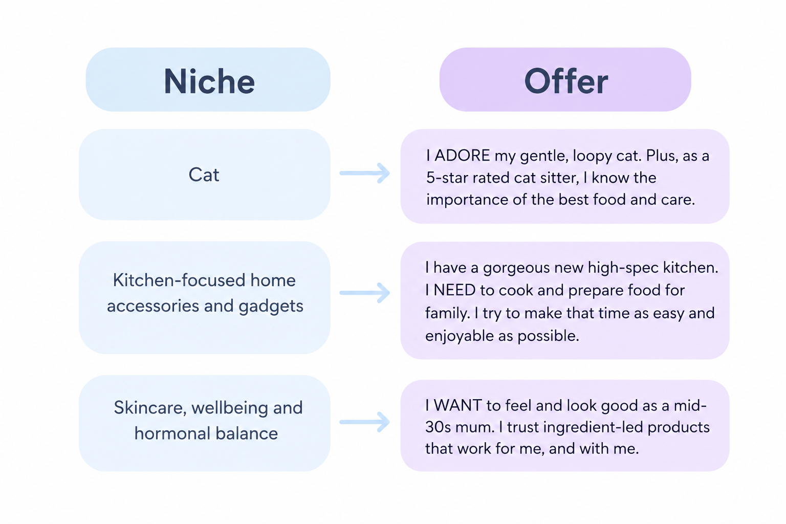 Niche-Offer graphic (3)